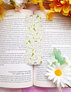 Bookmarks
