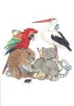 Gallery Cards Postcard | Ingrid & Dieter Schubert - Uit Gallery Cards Postcard | Ingrid & Dieter Schubert - Uit