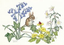 Postcard Molly Brett | Mouse On Ivy Looking At Ladybird On Primrose Postcard Molly Brett | Mouse On Ivy Looking At Ladybird On Primrose