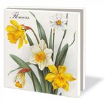 Card folder with envelopes - square: Flowers, Museum de Zwarte Tulp Card folder with envelopes - square: Flowers, Museum de Zwarte Tulp