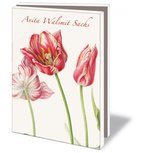 Card folder with envelopes: Tulipa Zomerschoon, Anita Walsmit Sachs Card folder with envelopes: Tulipa Zomerschoon, Anita Walsmit Sachs
