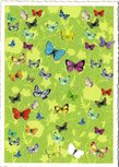 Postcard Edition Tausendschoen | Adriana Sanmartin Butterflies Postcard Edition Tausendschoen | Adriana Sanmartin Butterflies