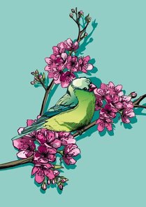 Illi Felt Postcard | Nobi