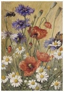 Postcard | Cornelis Jetses, Schoolplaat van planten en dieren