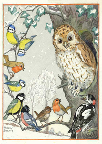 Postcard Molly Brett | An owl and other birds