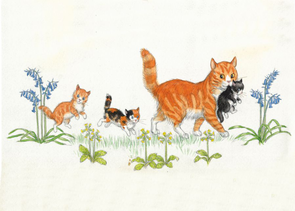 Postcard Molly Brett | A Surprise for Dumpy