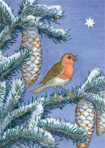 Postcard Molly Brett | Winter robin