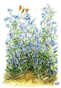 Inge Look Nr. 107 Postcard Garden | Flowers and Butterfly