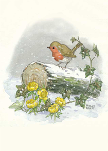 Postcard Molly Brett | Winter robin