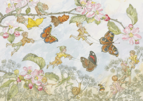 Postcard Molly Brett | The Butterfly Race