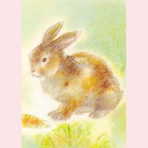 Postcard Carla Grillis - Dieren 2 - Konijntje