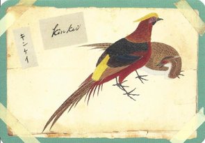 Postcard | Vogels, Philipp Franz von Siebold, Naturalis Biodiversity Center