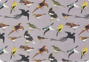 Postcard | Vogels, Philipp Franz von Siebold, Naturalis Biodiversity Center