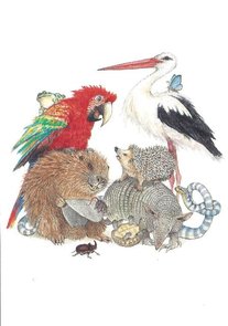 Gallery Cards Postcard | Ingrid & Dieter Schubert - Uit "van Mug tot Olifant"