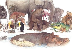 Gallery Cards Postcard | Ingrid & Dieter Schubert - Uit "van Mug tot Olifant"