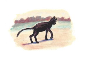 Gallery Cards Postcard | Marit Törnqvist - Illustration from "Night has come"