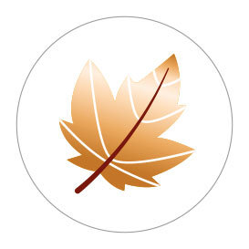 5 Stickers | Leaf (Gold Foil)