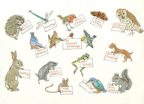 Postcard Molly Brett | Greetings Animals