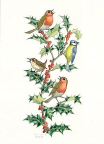 Postcard Molly Brett | Birds And Holly
