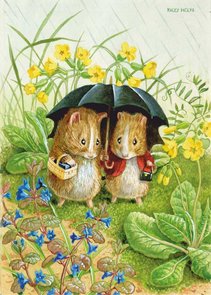 Postcard Racey Helps | ‘The Guinea Pig Shoppers’