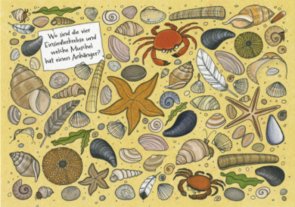Search Postcard | Wo sind die Einsiedlerkrebse und welche Muschel hat...?