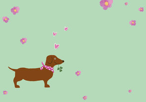 Envelope Set C6 - Dachshund flowers