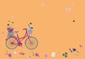 Envelope Set C6 - Bicycle flowers