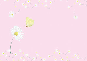 Envelope Set C6 - Pink Daisies