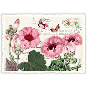 PK 898 Tausendschön Postcard | trumpet flowers