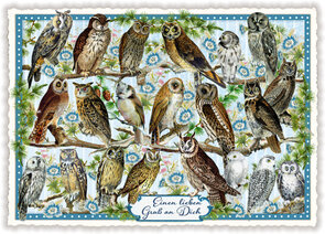 PK 312 Tausendschön Postcard | EINEN LIEBEN GRUSS AN DICH -EULE