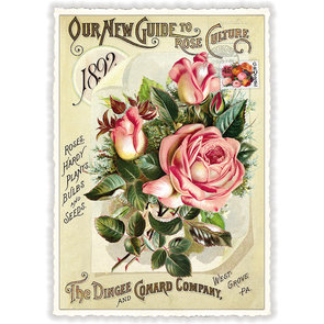 PK 892 Tausendschön Postcard | SWEET MEMORIES 