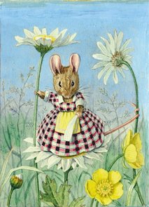 Postcard Racey Helps | Mouse On Ox-Eye Daisy