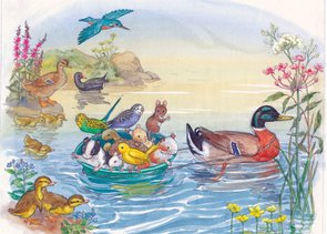 Postcard Molly Brett | Midget And The Pet Shop