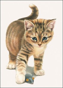 Double Card | Franciens Katten, Francien van Westering