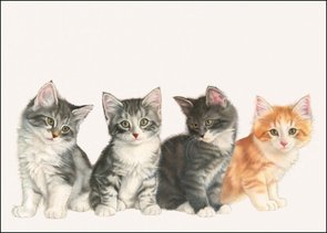 Doppelkarten | Franciens Katten, Francien van Westering