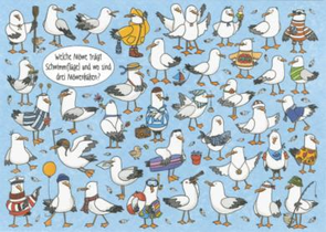 Search Postcard | Welche Möwe trägt Schwimmflügel und wo sind dre Möwenküken?