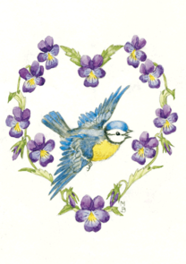 Postcard Molly Brett | Blue Tit And Violas