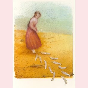 Postcard - Andersen 5 - Spoor van veren