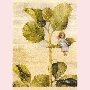 Postcard - Andersen 2 - Op het blad