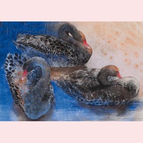 Postcard Loes Botman | Three Black Swans