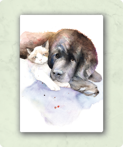Organic Postcard - Watercolour Cat and Dog
