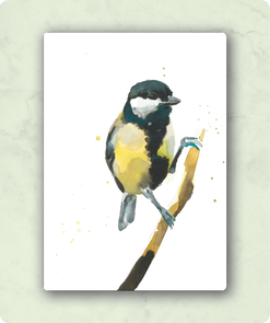 Organic Postcard - Watercolour Great Tit