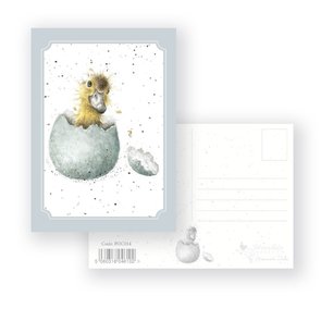 Wrendale Designs 'Little One' Postcard