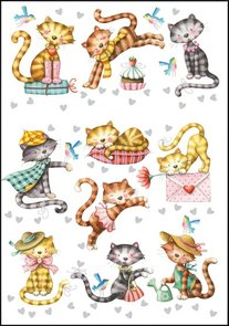 Nina Chen Double Card | Cats