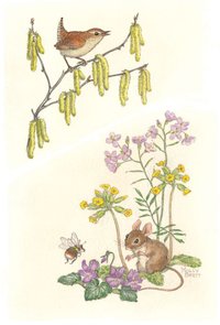 Postcard Molly Brett | Wren On Branch With Catkins, Mouse And Bee