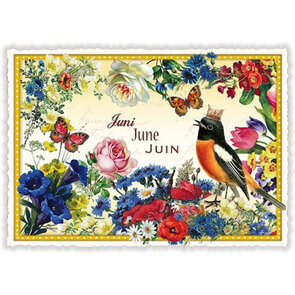 PK 1027 Tausendschön Postcard | June