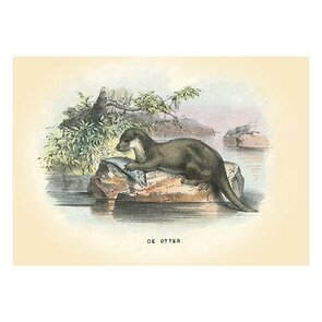 Postcard | De Otter