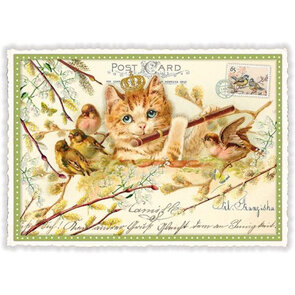 PK 952 Tausendschön Postcard | Cat Flute