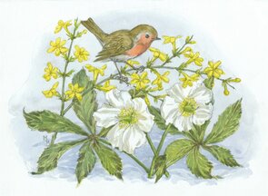 Postcard Molly Brett | Robin With Christmas Roses