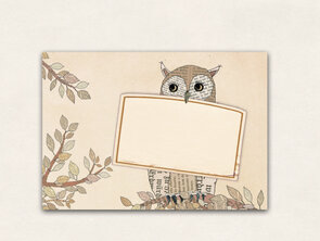 10 x Envelope TikiOno | Eule